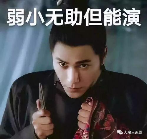 陈坤倪妮天涯真实爆料视频,娱乐圈背后的真相与争议